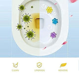 Toilet Freshener- Toilet Freshener and Cleaner Flower Gel